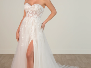 a-line-wedding-dresses-at-sarah-louise-bridal (5)